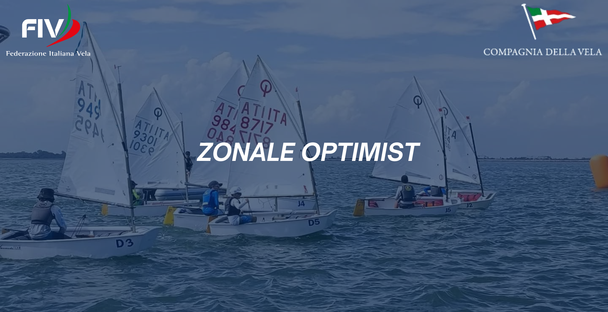 ZONALE OPTIMIST