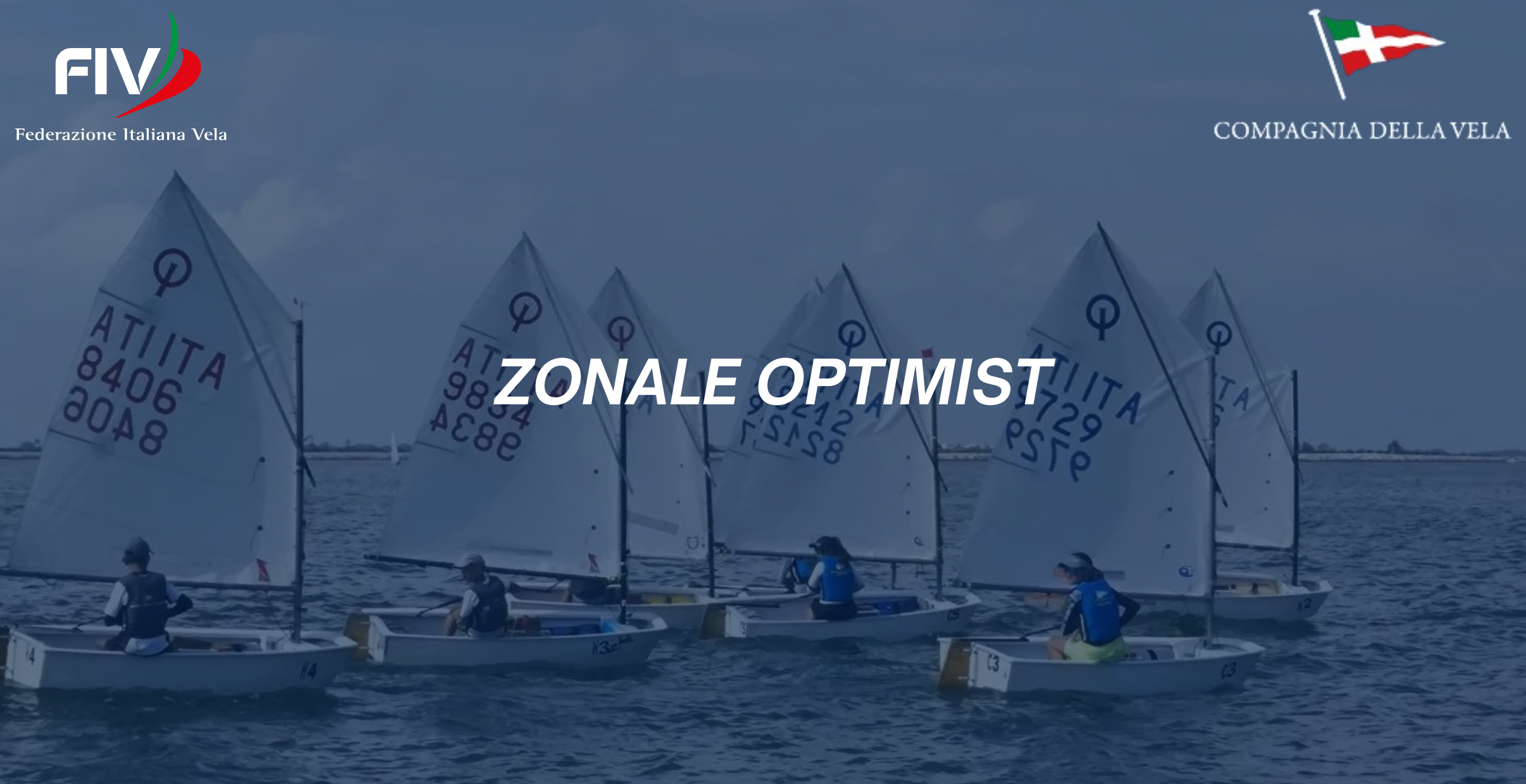 ZONALE OPTIMIST